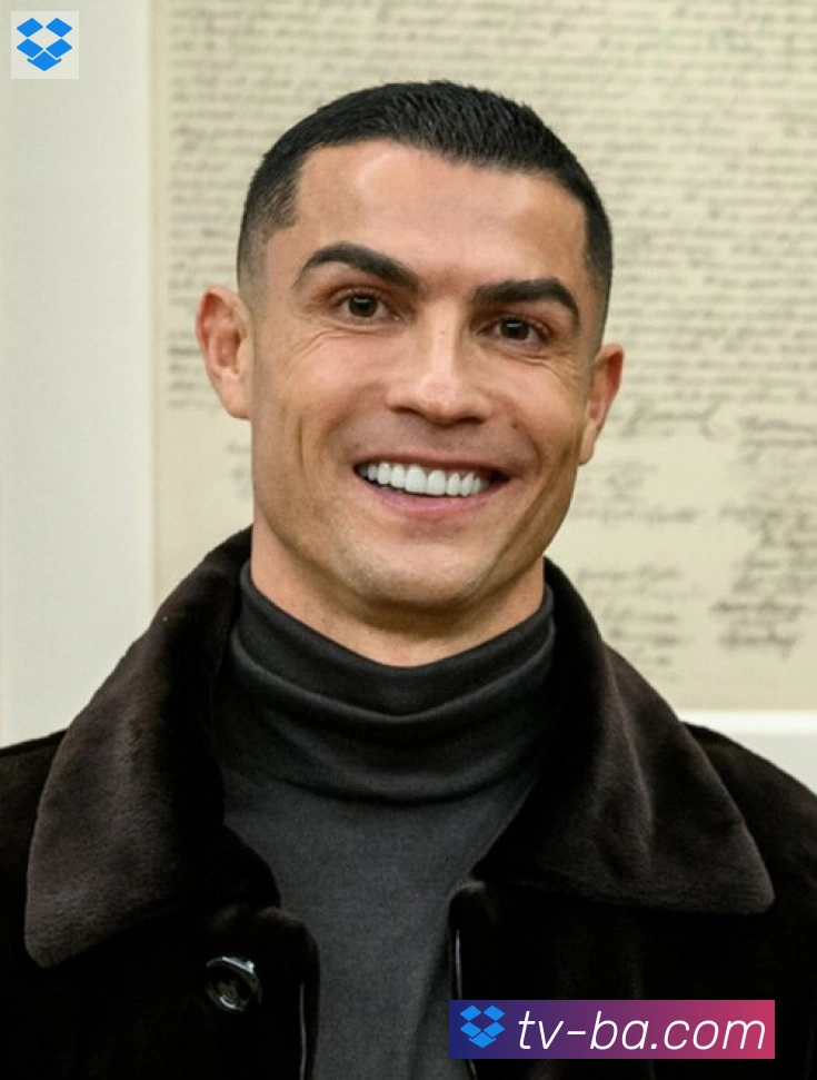 维尼修斯